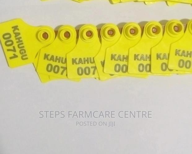 100 PCS Customized Ear Tags for Cows ,Goats and Pigs .
