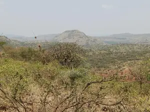 100 Acres Ngong, Tinga, Keekonyokie/Ilkisumet