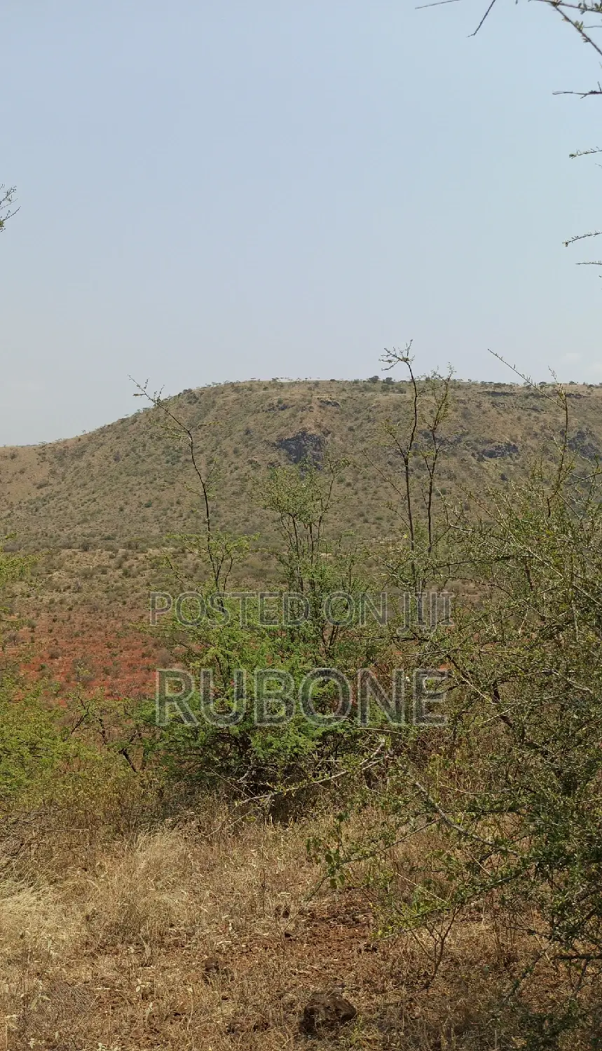 100 Acres Ngong, Tinga, Keekonyokie/Ilkisumet