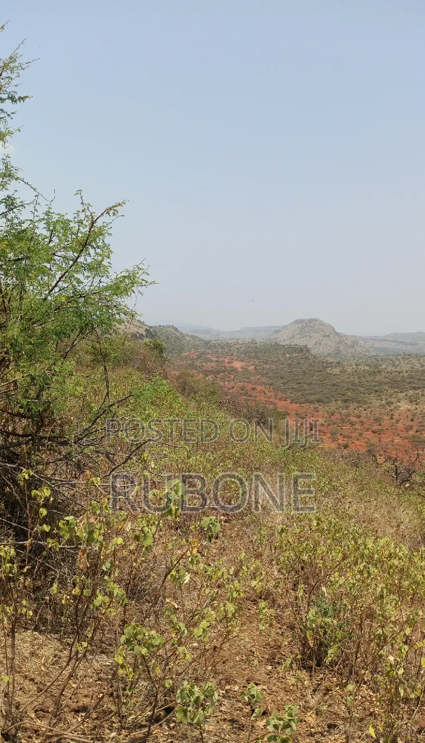 100 Acres Ngong, Tinga, Keekonyokie/Ilkisumet