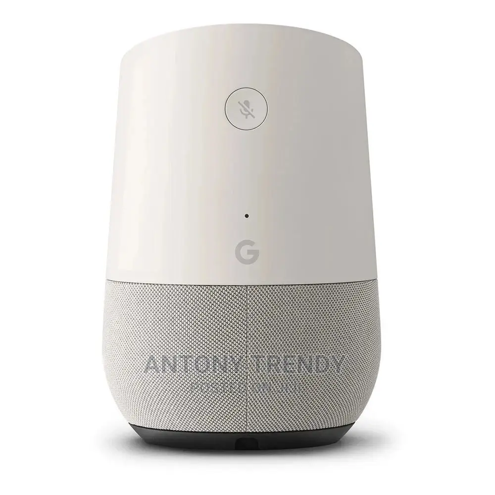 Google Home With Google Assistant