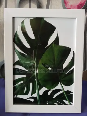 Nature Framed! Superior White Frames A4 Size