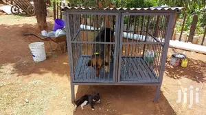 Assorted Dog Cages