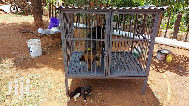 Assorted Dog Cages - thumbnail 5