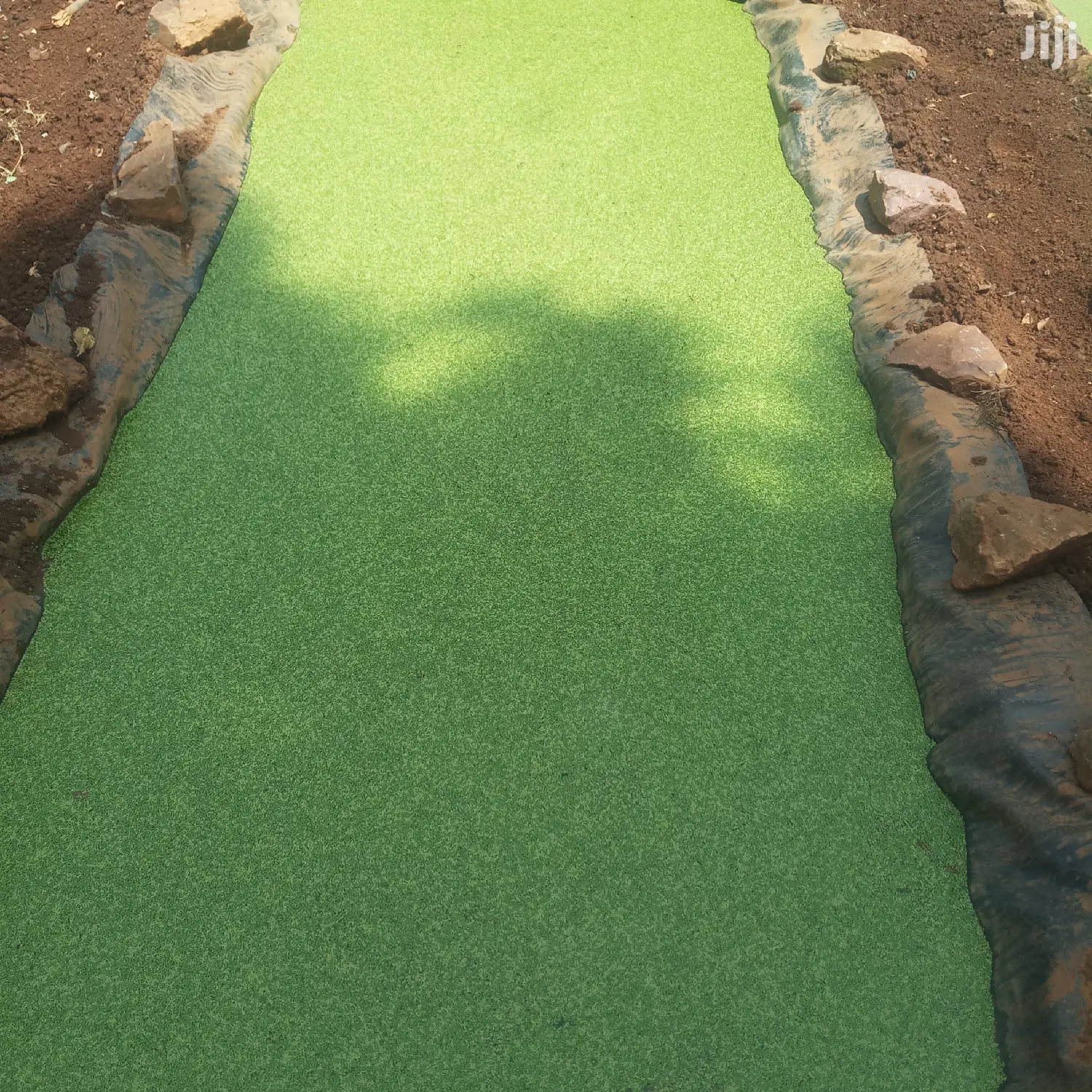 Azolla / Lemna Minor and Duck Weed High Protein Feed