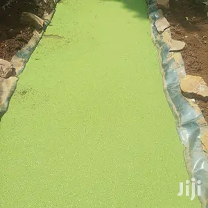 Azolla / Lemna Minor and Duck Weed High Protein Feed