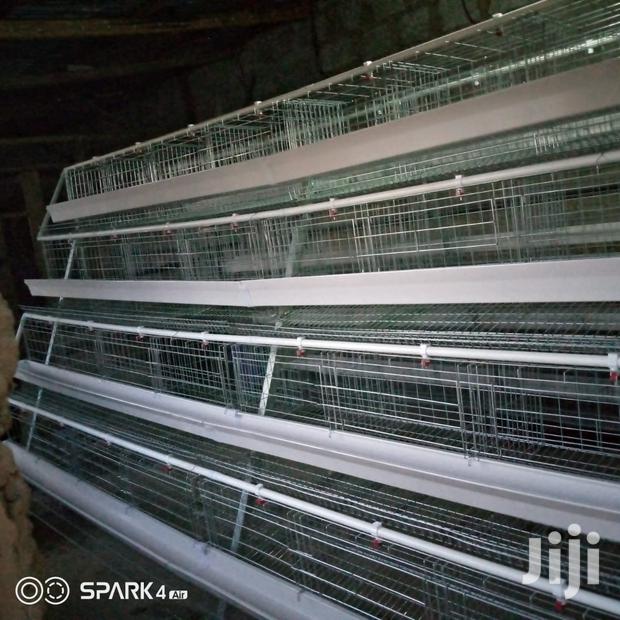 Cages 128birds - main view