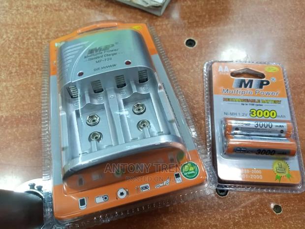 Multiple Power Standard Battery Charger - main view