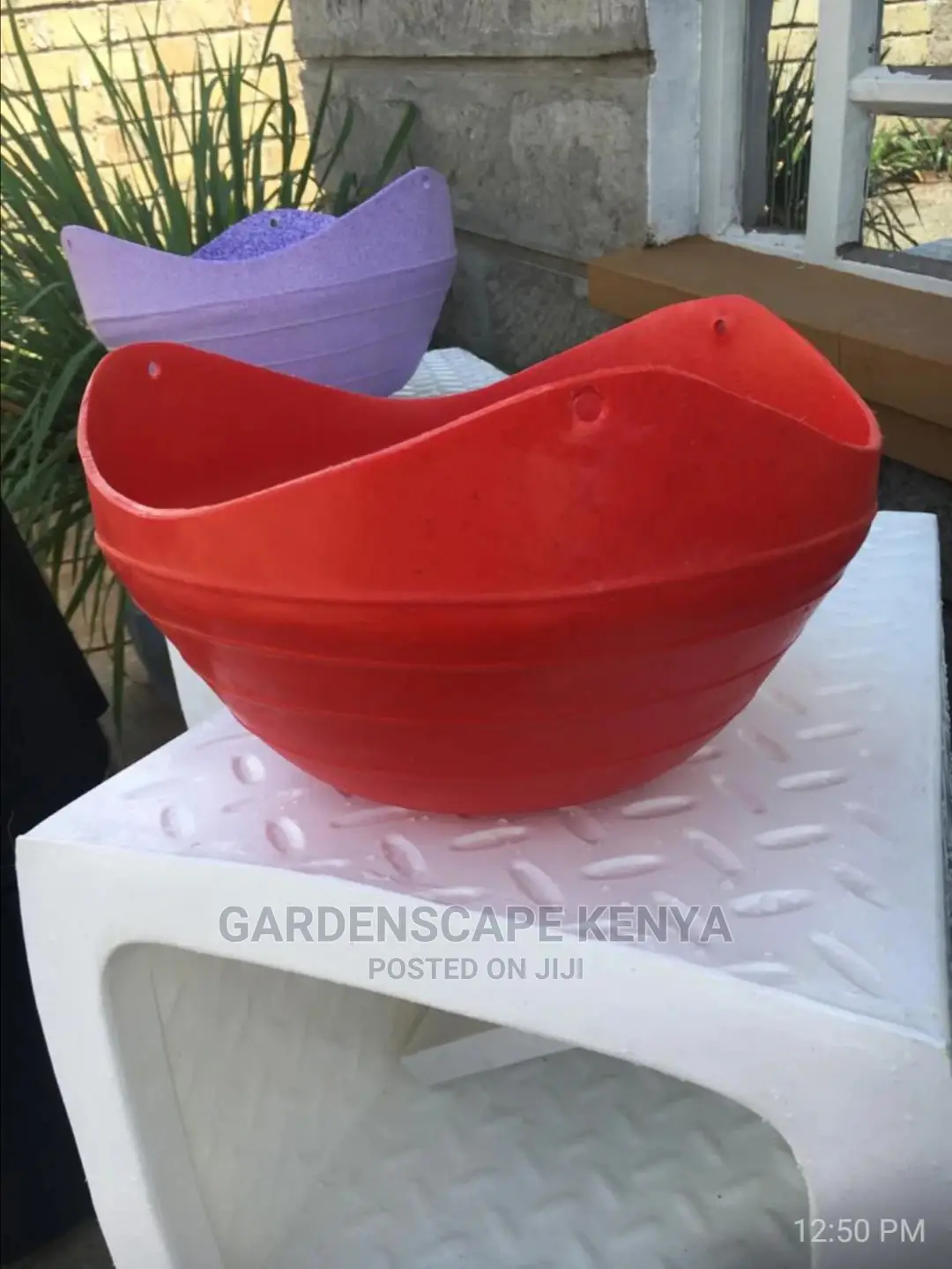 Plastic Planters