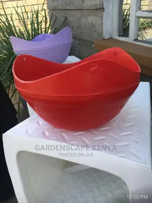 Plastic Planters