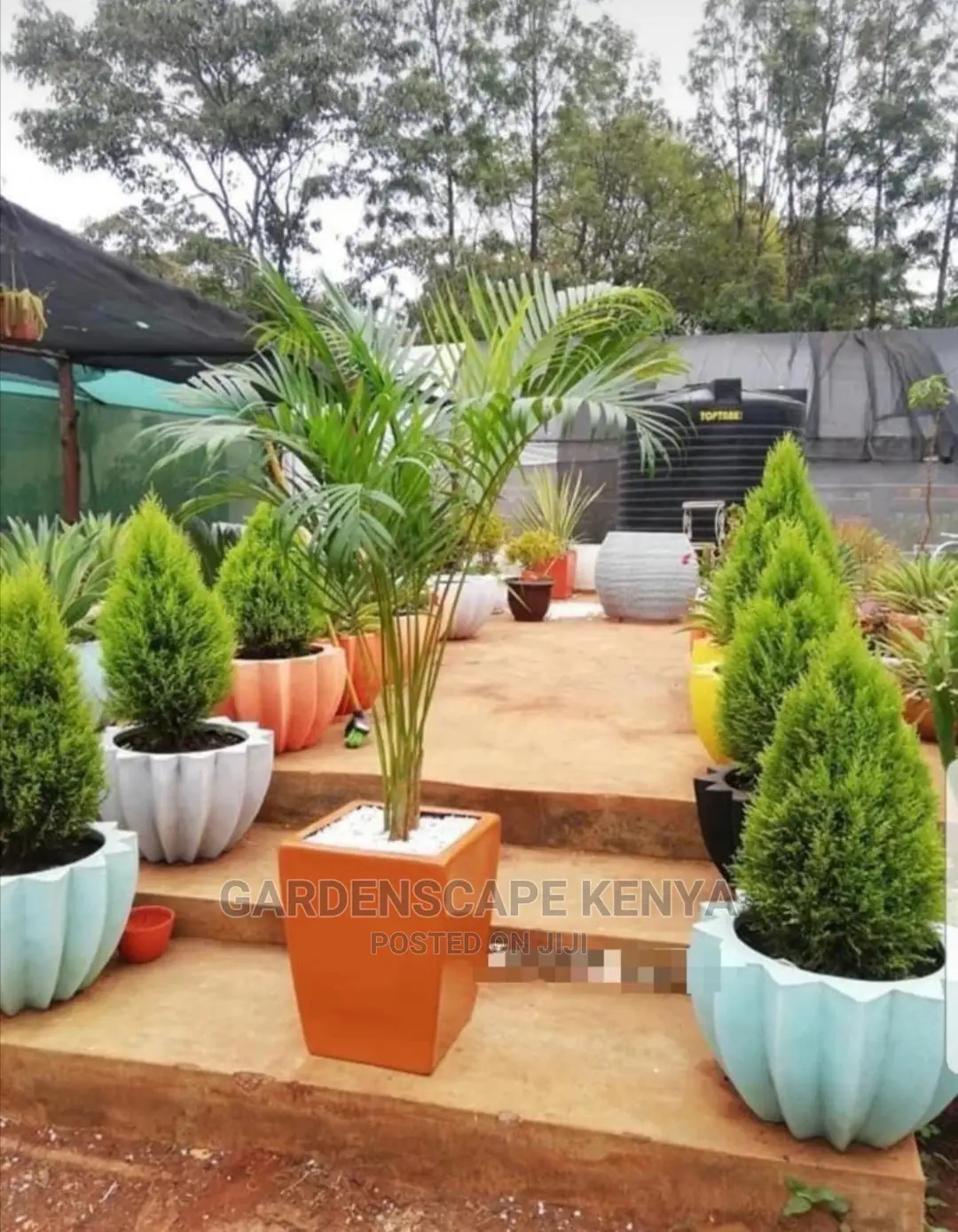 Plastic Planters