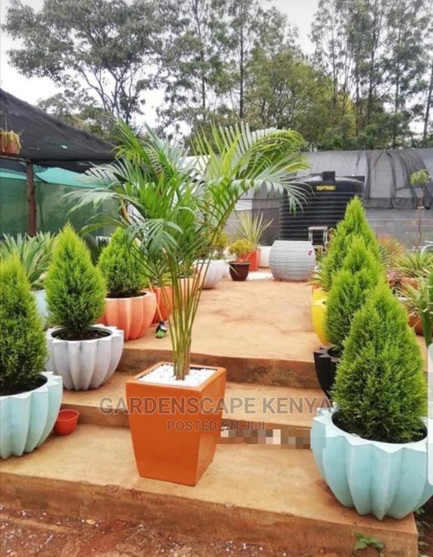 Plastic Planters - thumbnail 3