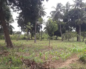 6 Acres Land on Sale Mtwapa
