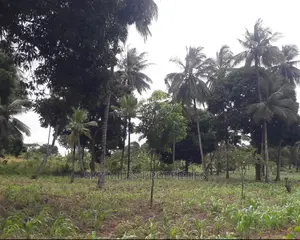 6 Acres Land on Sale Mtwapa