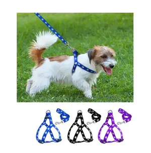 Dog Leash and Harness Set - Chihuahua/Spitz
