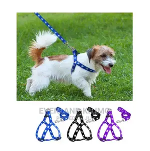Dog Leash and Harness Set - Chihuahua/Spitz