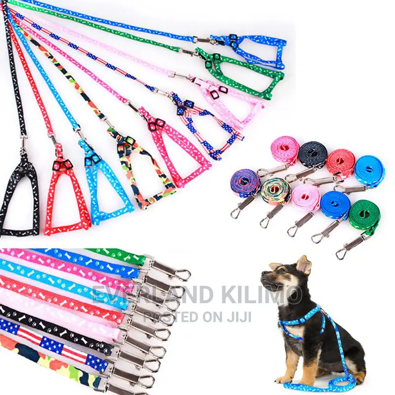 Leash and Harness for Small Puppies