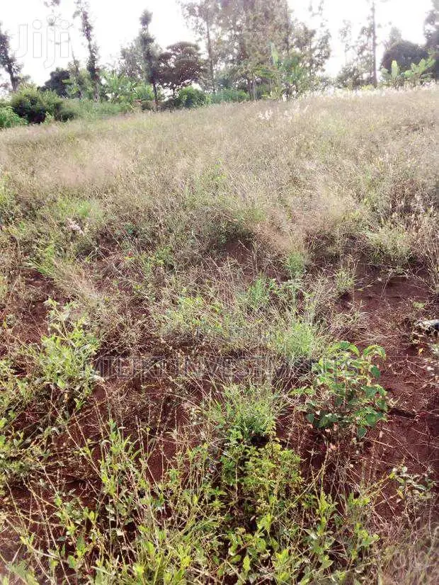40 by 80 Plot for Sale at Murang'A