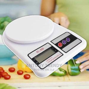 Scale SF-400 - main view