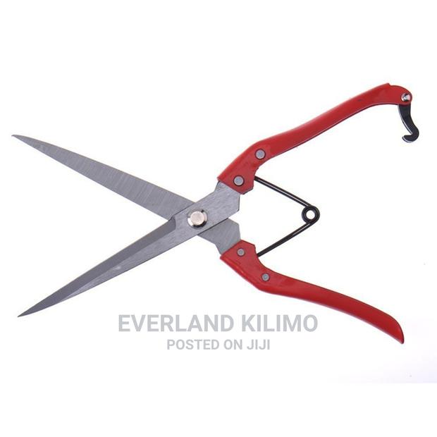 Wool Shears - Multi Purpose - thumbnail 4