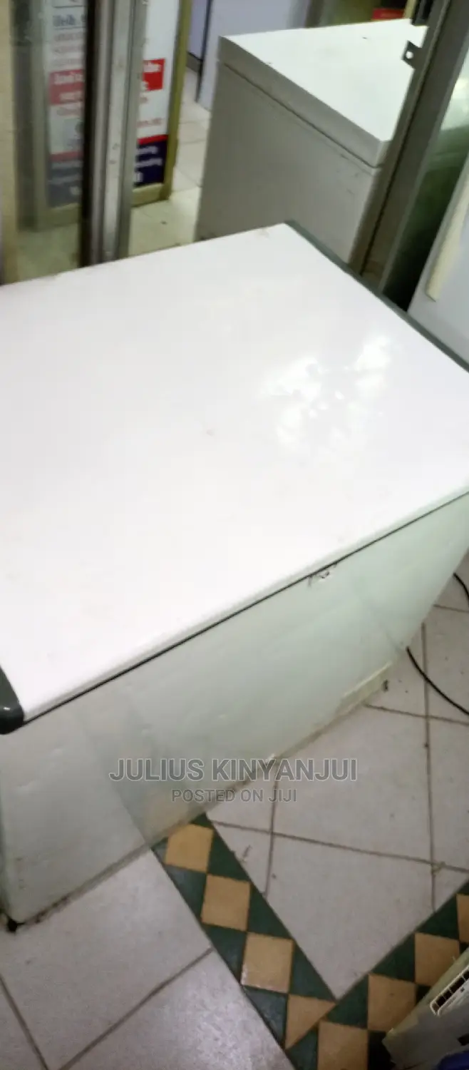 300L Freezer for Sale