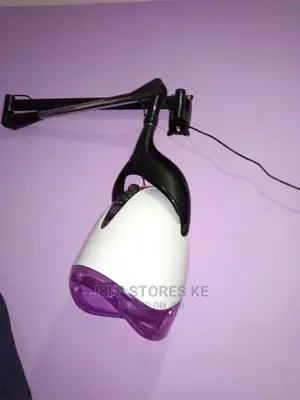 Egg Wall Mounted Dryer