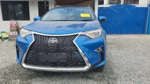 Toyota RAV4 2018 Other