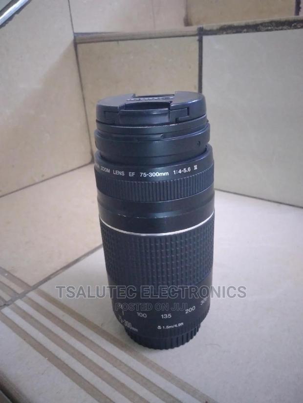 Canon 75-300mm