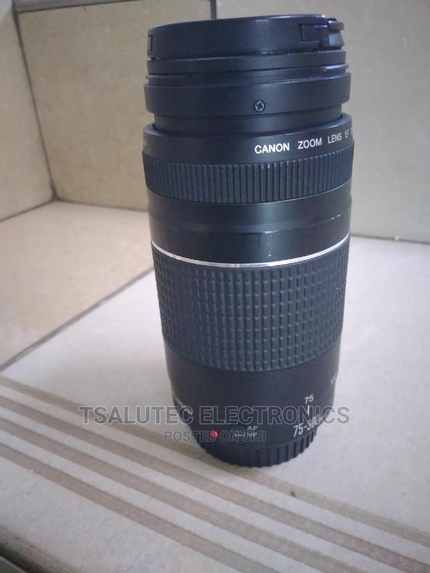 Canon 75-300mm - thumbnail 2