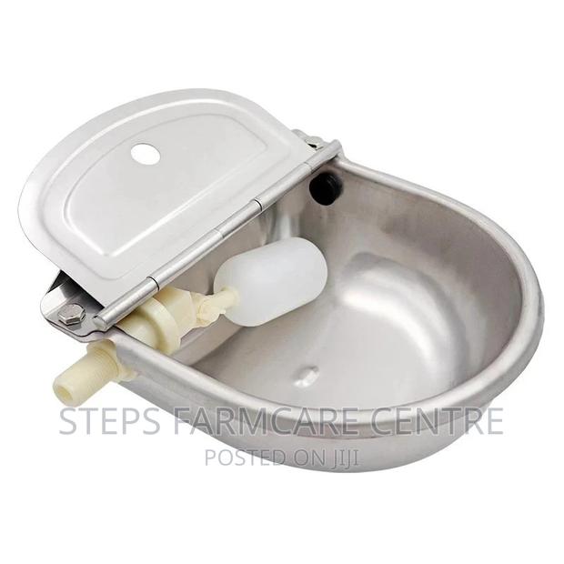 Stainless Steel Automatic Bowl Cow Drinker