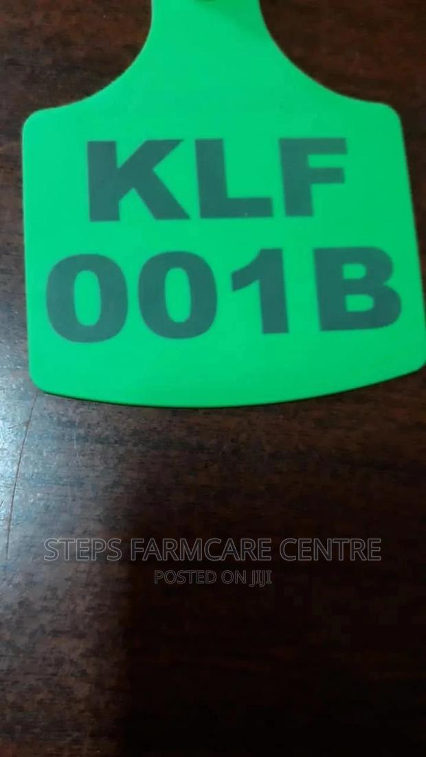 Customized Animal Ear Tags - main view