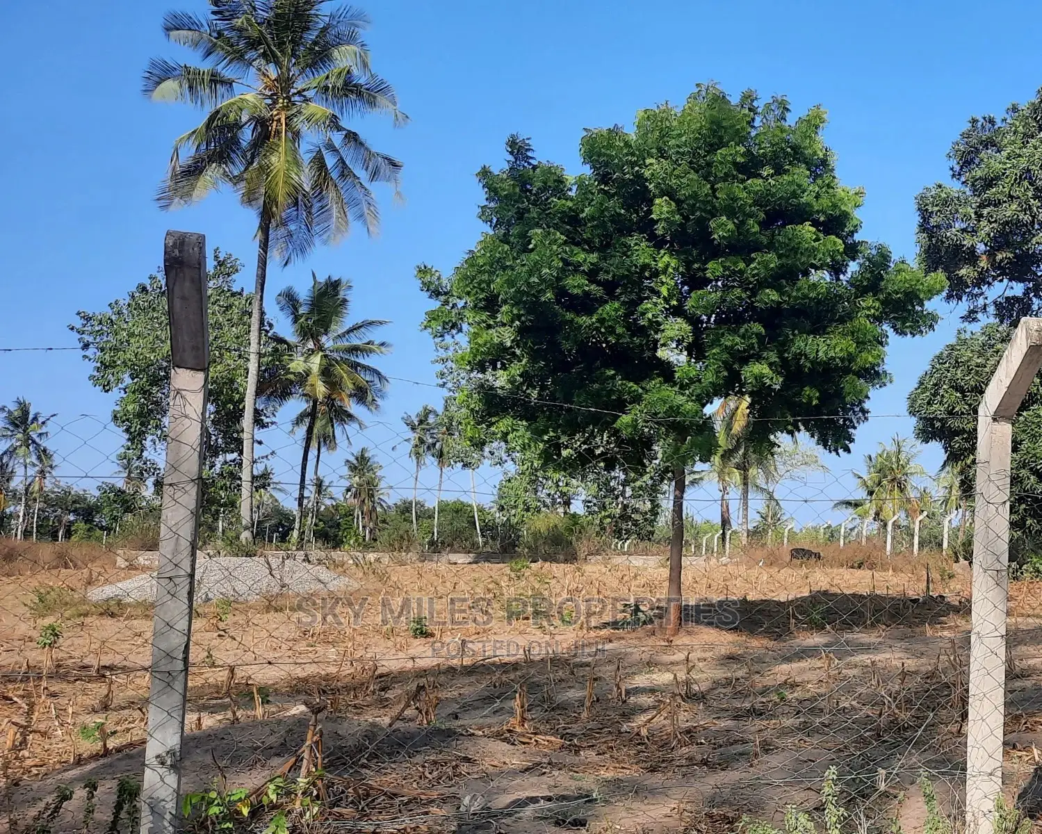 2 Acre Behind Pwani Oil Kikambala on Sale