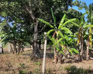 2 Acre Behind Pwani Oil Kikambala on Sale