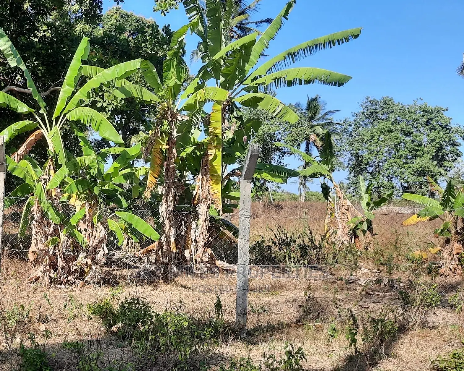 2 Acre Behind Pwani Oil Kikambala on Sale