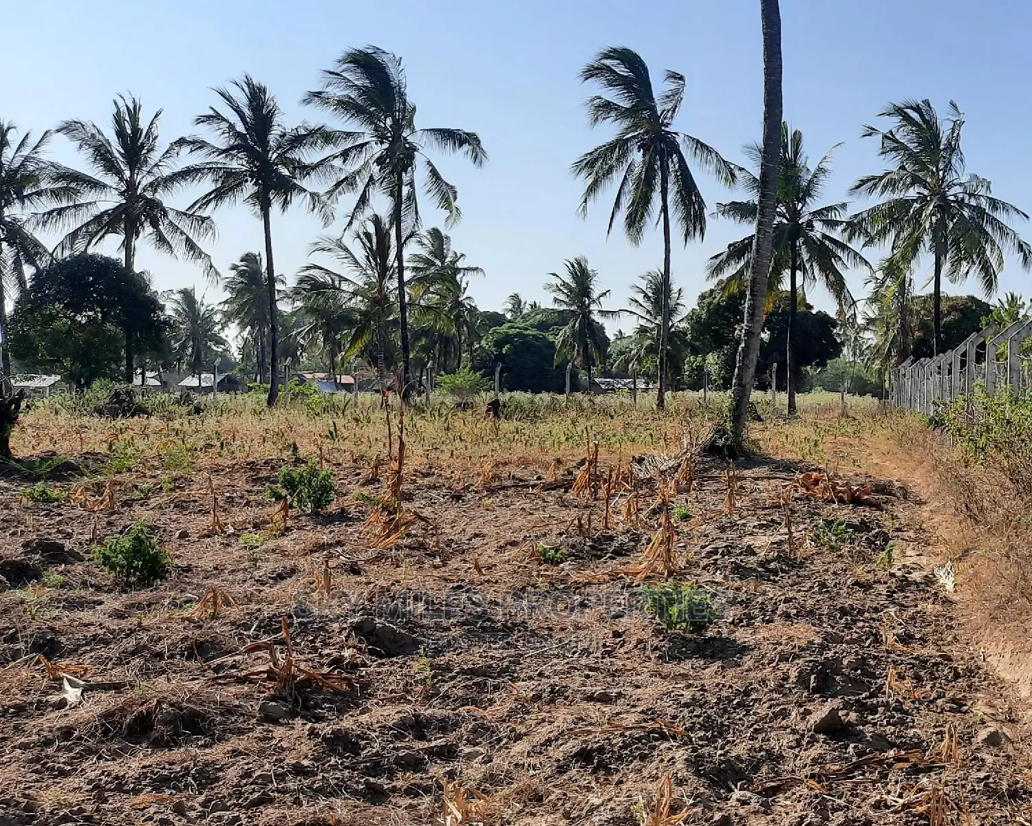 2 Acre Behind Pwani Oil Kikambala on Sale