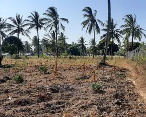 2 Acre Behind Pwani Oil Kikambala on Sale