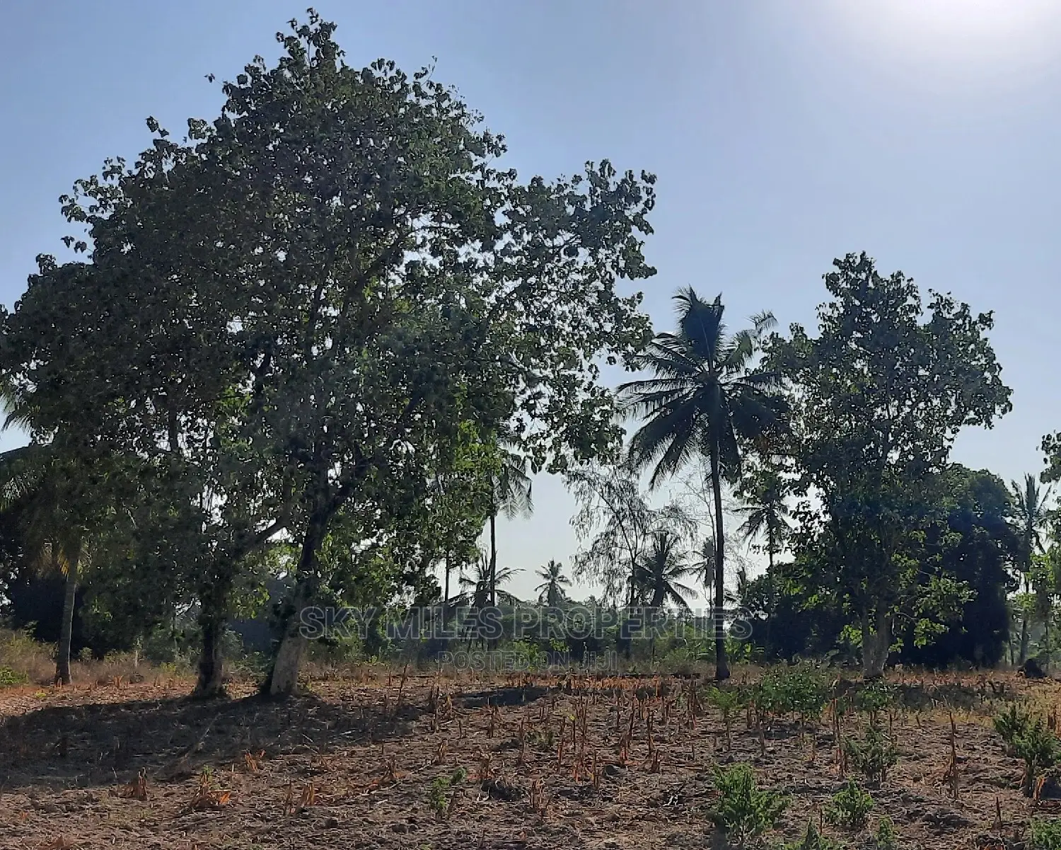 2 Acre Behind Pwani Oil Kikambala on Sale