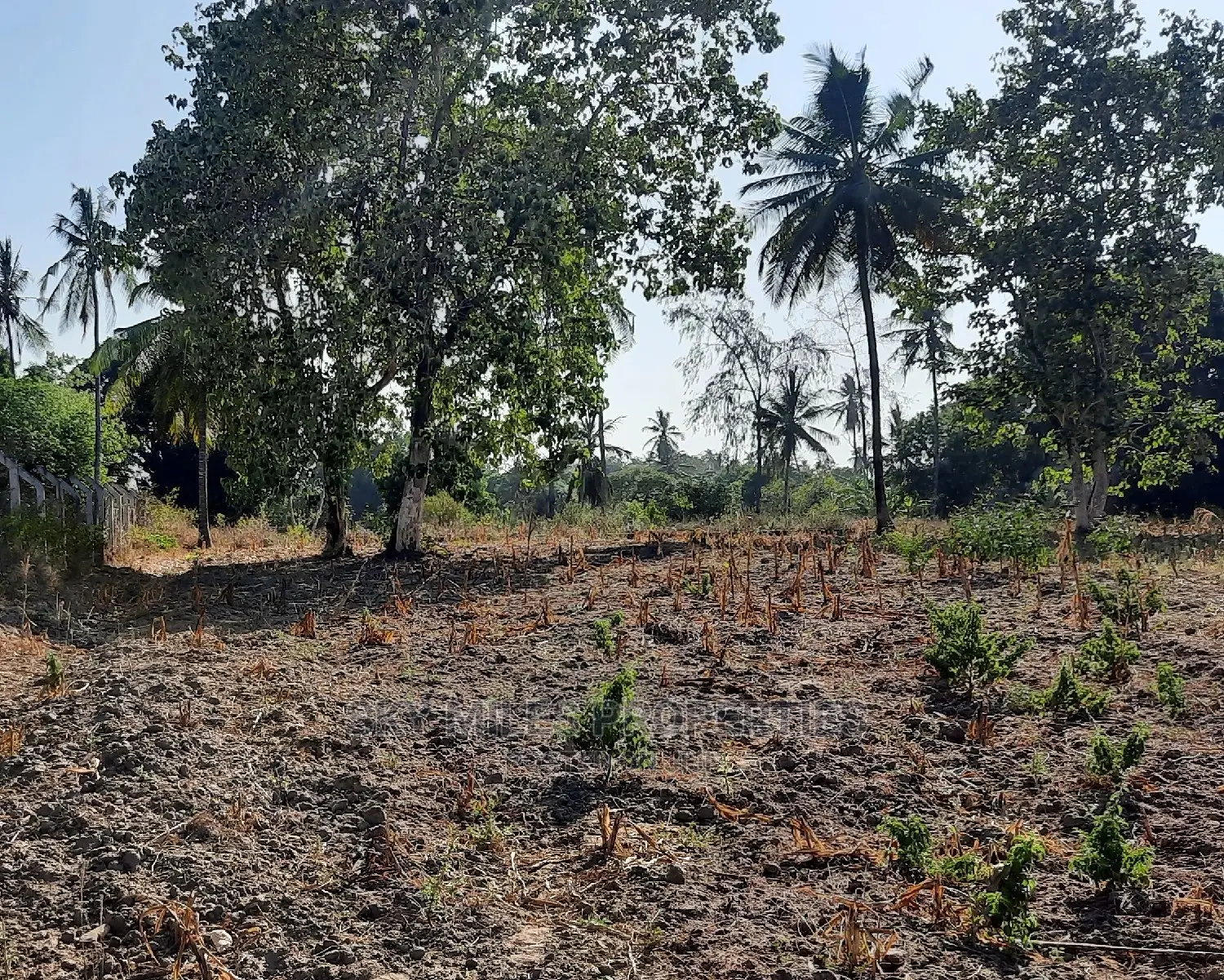 2 Acre Behind Pwani Oil Kikambala on Sale