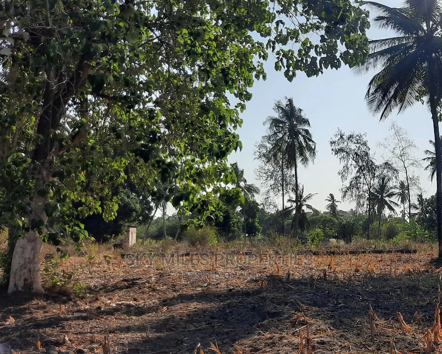 2 Acre Behind Pwani Oil Kikambala on Sale
