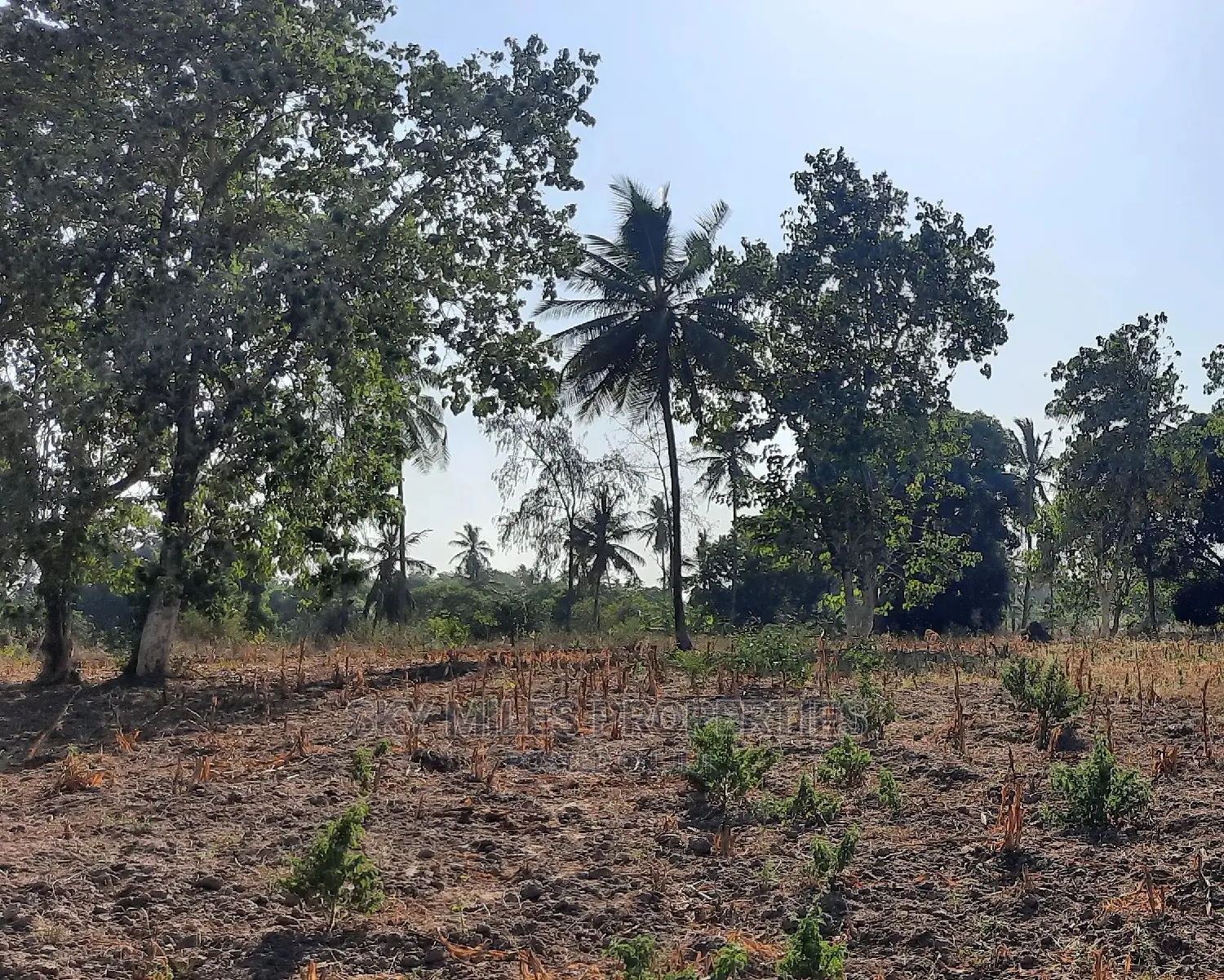 2 Acre Behind Pwani Oil Kikambala on Sale