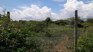 Beach Second Row 5 Acres on Sale Kikambala