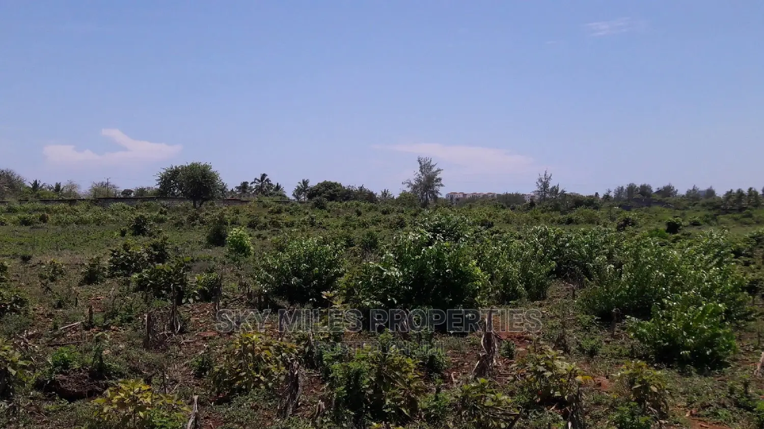 Beach Second Row 5 Acres on Sale Kikambala
