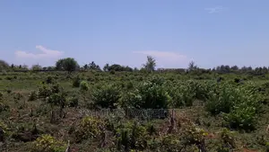 Beach Second Row 5 Acres on Sale Kikambala