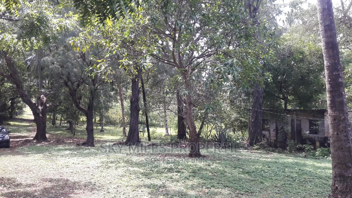 A Parcel of 4.5 Acres Beach Plot on Sale