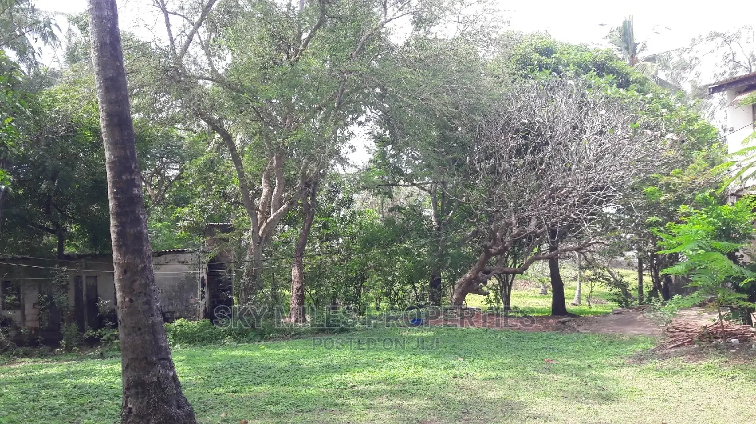 A Parcel of 4.5 Acres Beach Plot on Sale