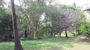 A Parcel of 4.5 Acres Beach Plot on Sale