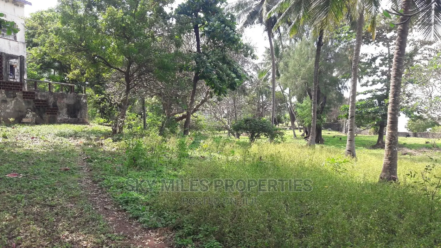 A Parcel of 4.5 Acres Beach Plot on Sale