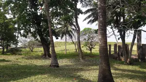 A Parcel of 4.5 Acres Beach Plot on Sale