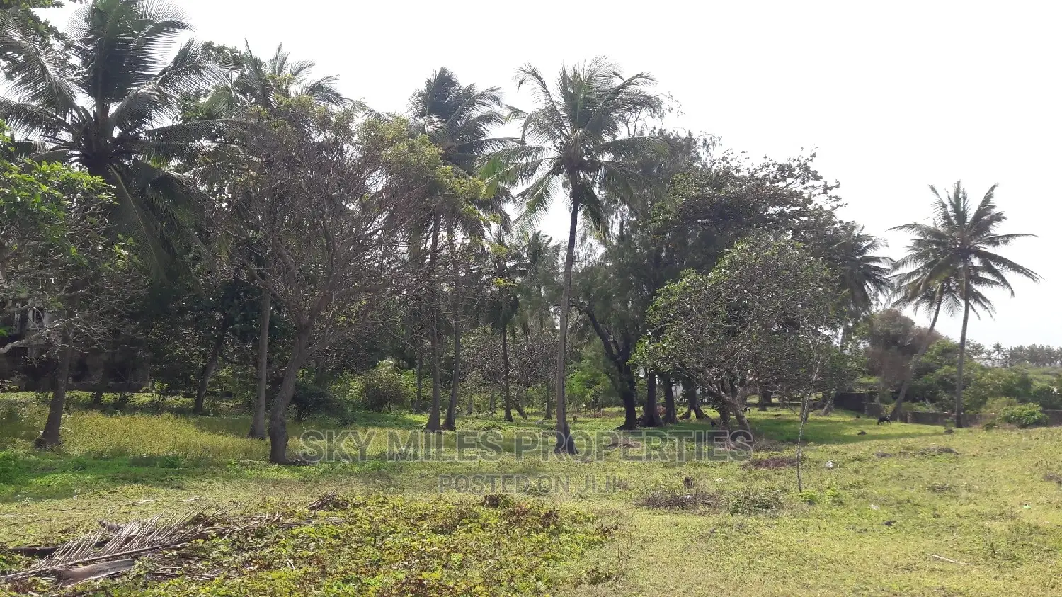 A Parcel of 4.5 Acres Beach Plot on Sale