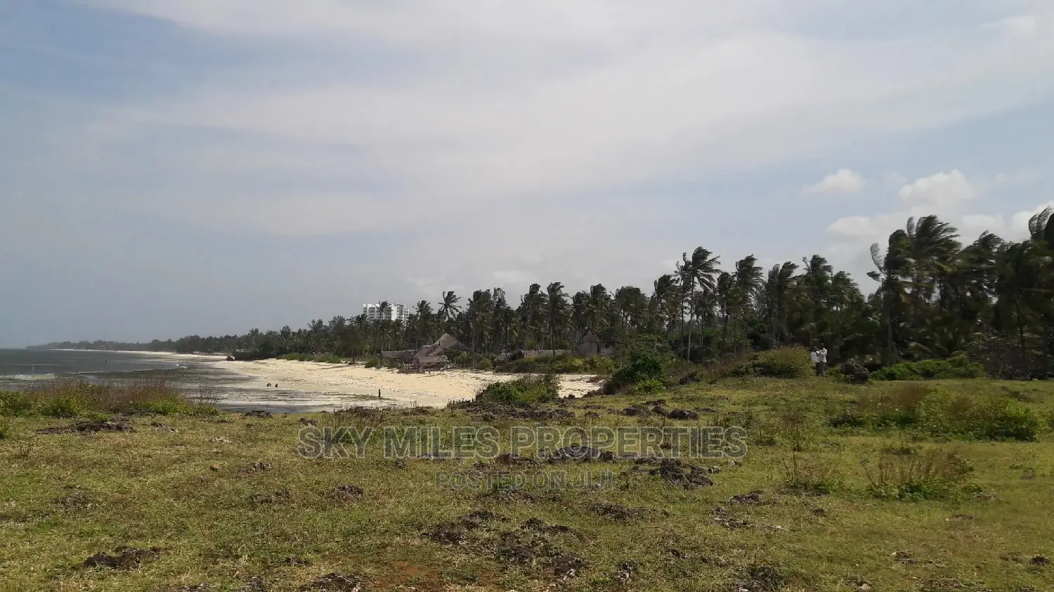 A Parcel of 4.5 Acres Beach Plot on Sale